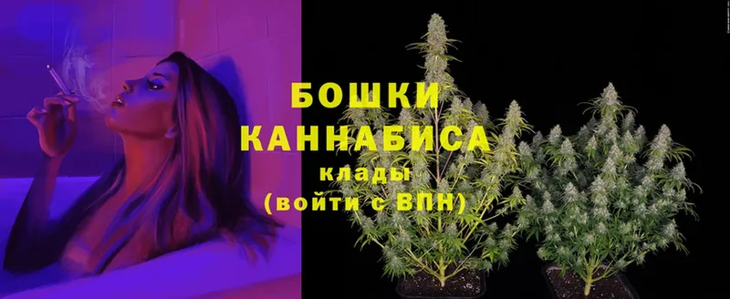 наркошоп  площадка какой сайт  Бошки марихуана Amnesia  Тайга 